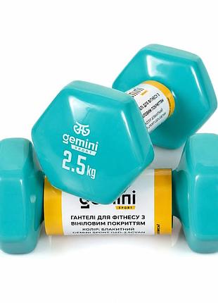 Гантели gemini sport для фитнеса с виниловым покрытием 2шт по 2.5кг gsd-2.5cyan