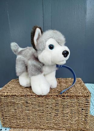 Реалістична мʼяка іграшка цуценя хаскі keel toys на повідку оригінал
