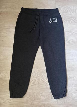 Спортивні штани чоловічі gap утеплені сірі