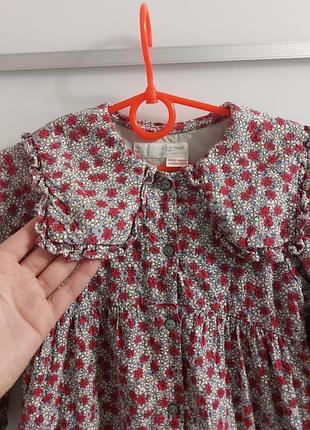 Сукня  для дівчинки zara тепла в квітковий принт з комірцем