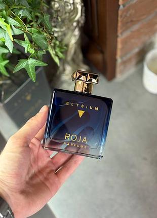 Парфюм мужской roja elysium pour homme cologne 100 мл нишевая парфюмерия мужской восточный парфюм стойкие духи на осень