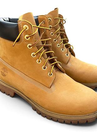 Черевики чоловічі timberland 6-inch premium waterproof жовті, розмір 44