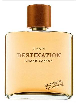 Avon destination grand canyon 75 ml чоловіча туалетна вода (ейвон дестінейшн гранд канййон)