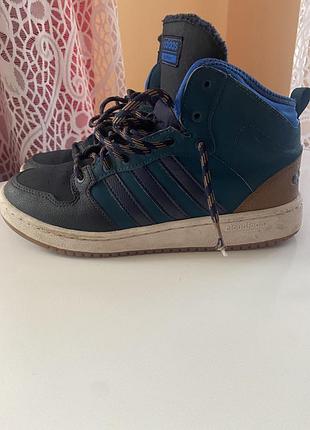 Чоловічі зимові кросівки adidas cloudfoam hoops winter mid сині