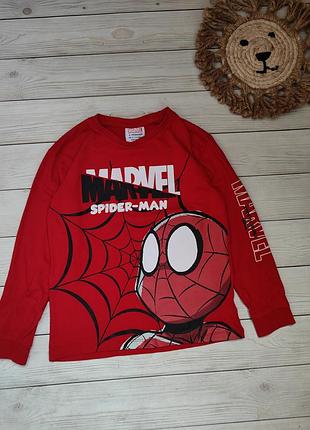 Реглан marvel spiderman