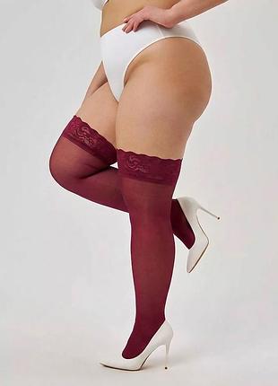 Панчохи капронові 20 den мереживні plus size бордові 1/2/3/4/5  4788 чулки великого розміру еластичні тонкі силіконова резинка невидимий носок