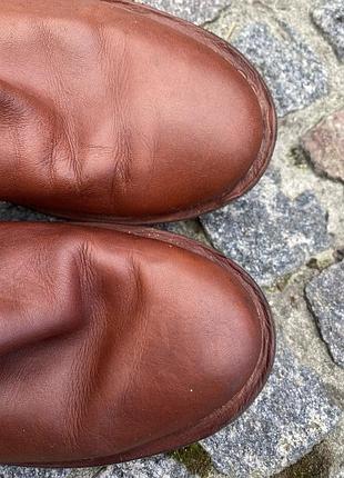 Черевики шкіряні ugg 6