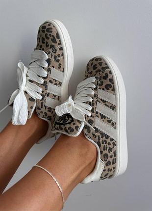 Кросівки жіночі adidas campus | “leopard” premium