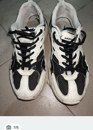 Кросівки жіночі skechers білі з чорним