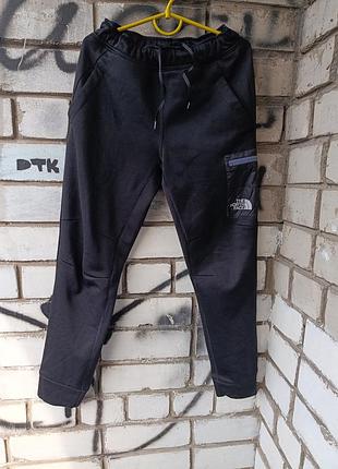 Карго штани спортивні the north face