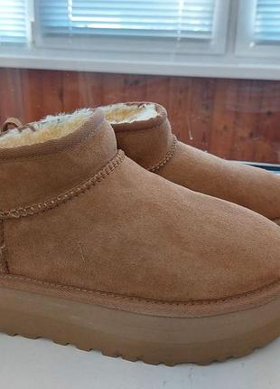Жіночі угги ugg уггі mini 8