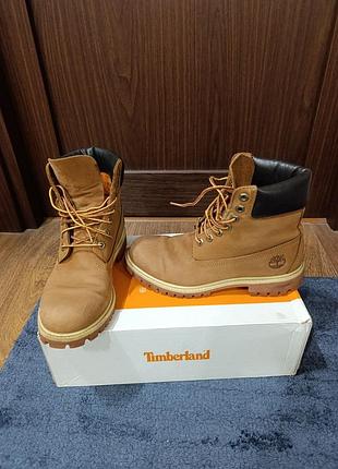 Timberland 6-inch premium