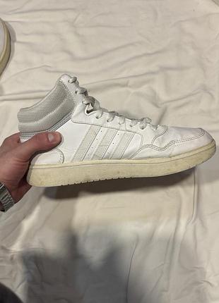 Кросівки жіночі adidas білі