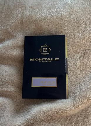 Montale be my plum