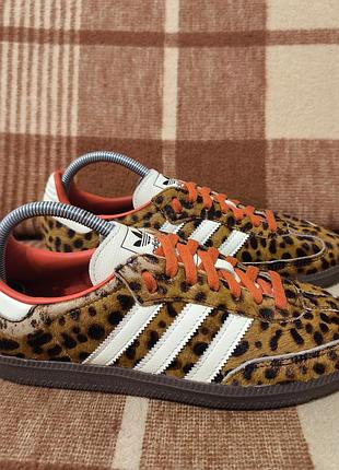 Женские кроссовки adidas samba