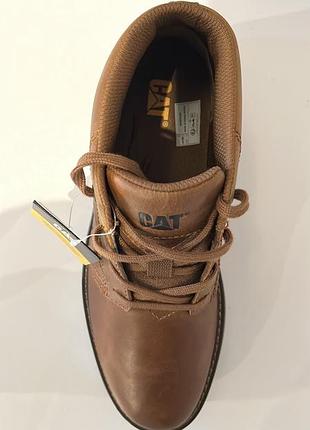 Черевики cat 6