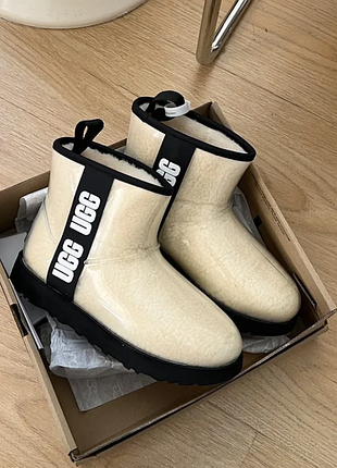 Женские угги мини прозрачные силиконовые бежевые ugg classic clear mini send