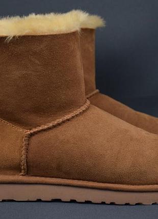Угги ugg australia mini bailey bow 1005062 ботинки женские зимние замша мех овчина цигейка оригинал 39 р/25 см bearpaw koolaburra emu mou