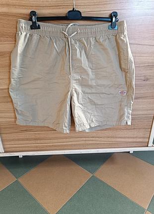 Шорти dickies