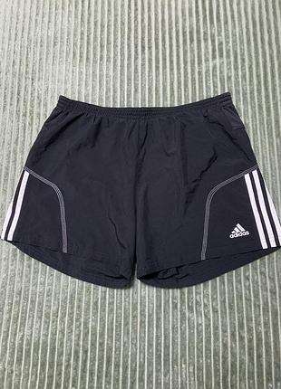 Adidas шорти чоловічі
