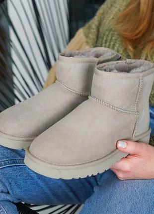 Жіночі уггі міні замш беж-молочні ugg mini beige suide metallic
