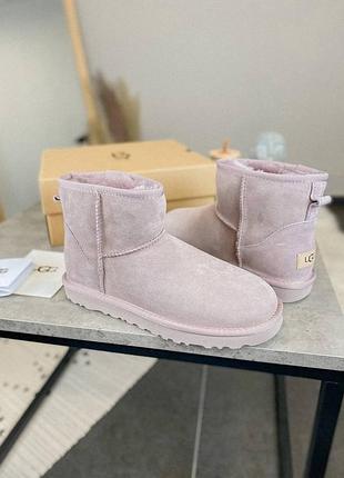 Жіночі ушні міні рожеві замша ugg classic mini ii boot full pink