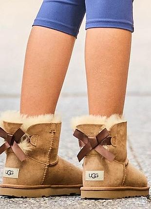 Жіночі уггі міні замш коричневі ugg mini bailey bow brown