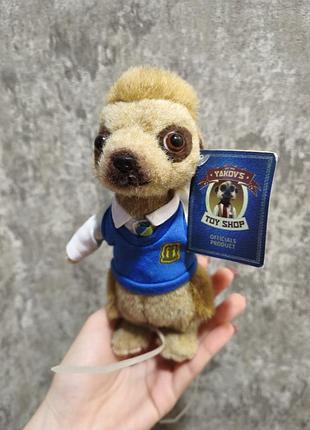 Сурикат богдан bogdan compare the meerkat meerkovo оригинал