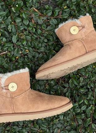 Жіночі уггі міні замш коричневі з гудзиком mini bailey button ii chestnut