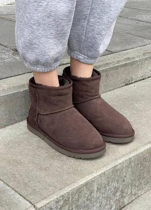 Жіночі уггі класік міні темно коричневі замшеві ugg australia classic mini dark brown suede