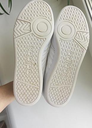 Кроссовки adidas hoops 4.0 6