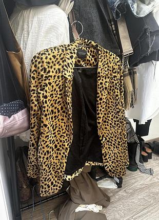 Жакет scotch &soda( s) 2