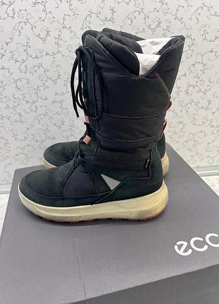 Зимние сапожки на девочку ecco, сапожки, ботинки сапоги экко
