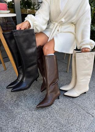 Чоботи жіночі демісезонні труби