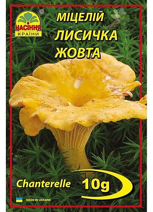 Лисичка желтая 10 г