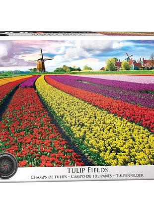 Пазл eurographics поле тюльпанов в нидерландах 1000 элемен (6000-5326)