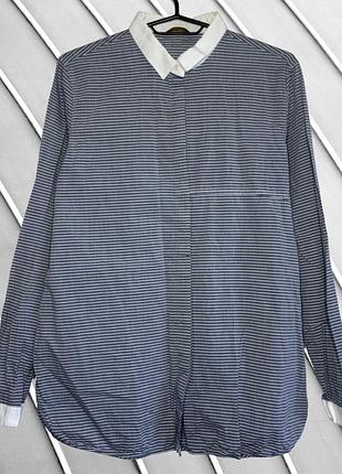 Женская рубашка в полоску massimo dutti l 40 42 46 48 массимо дутье хлопковая блуза с белым воротничком massimo dutti l