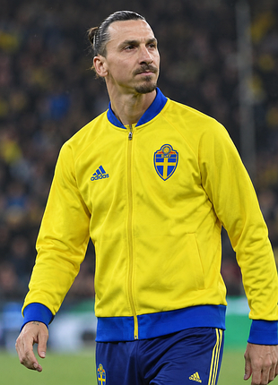 Спортивна кофта олімпійка adidas sweden track jacket 2015/16