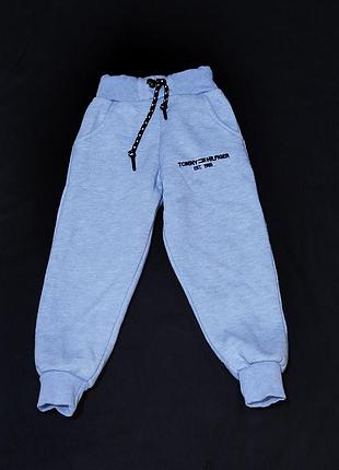Утеплені джогери tommy hilfiger 110-116р 8408