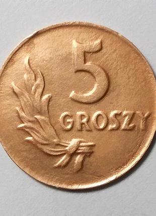 Польша 5 гроши 1949 медь