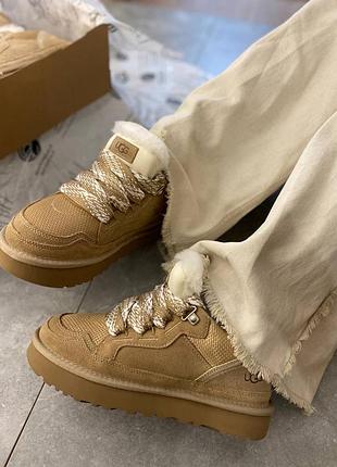 Жіночі зимові уги кеди ugg lowmel biege хутро беж / чорні. натуральна овчина, замша!!! з австралії