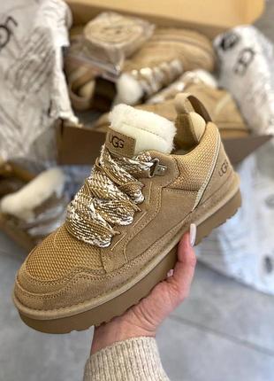 Жіночі зимові уги кеди ugg lowmel biege на хутрі бежеві/ чорні. натуральна овчина, замша!!! з австралії