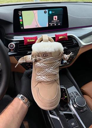 Жіночі зимові уги кеди ugg lowmel biege хутро беж / чорні. натуральна овчина, замша!!! з австралії замшеві