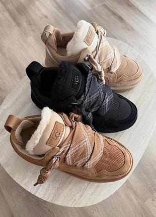 Жіночі зимові уги кеди ugg lowmel biege хутро беж / чорні. натуральна овчина, замша!!! з австралії набите хутро