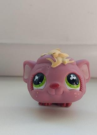 Littlest pet shop lps морська свинка хом'як іграшка фігурка іграшки фігурки оригінал лпс літлс петшоп пет шоп пет шопс петшопс пэт шопс пэтшопс petsho