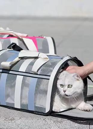 Сумка переноска для кота 2