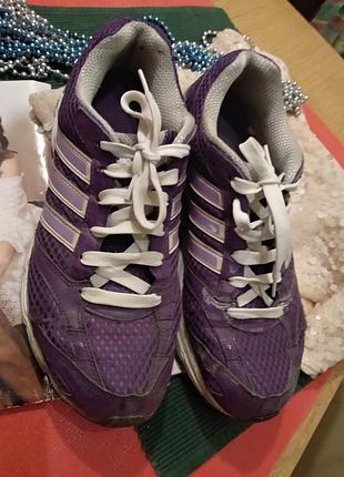 Кросівки жіночі adidas