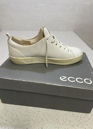 Жіночі шкіряні туфлі ecco