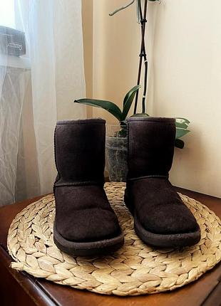Ugg на дівчинку в шоколадному кольорі, в стилі родині щільно утеплені натуральною овчиною, верх замш