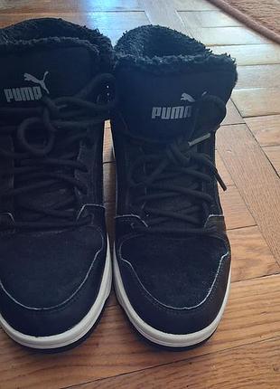 Кросявки зимові puma